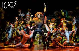 Get Your Tickets to See Cats the Musical in Shanghai – That's Shanghai