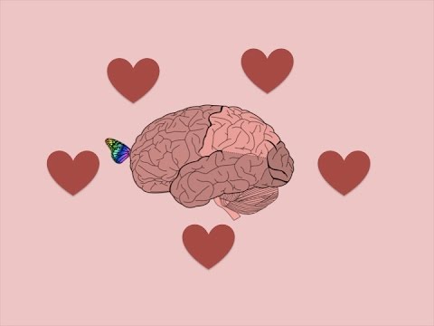 Cerebro enamorado